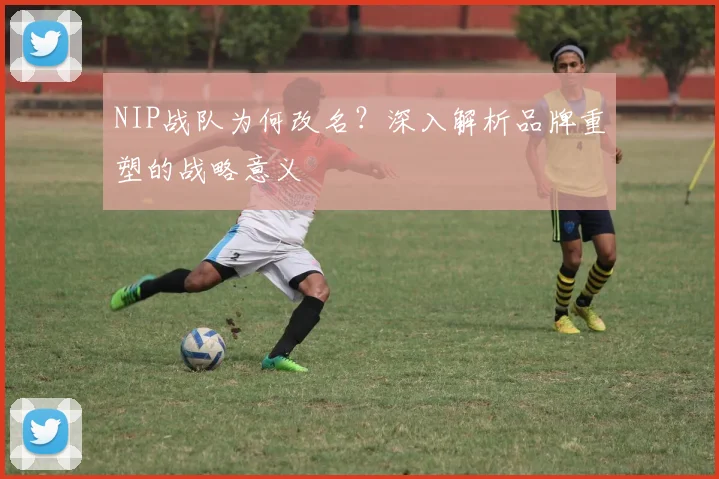 NIP战队为何改名？深入解析品牌重塑的战略意义