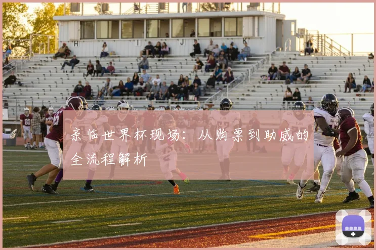 亲临世界杯现场：从购票到助威的全流程解析