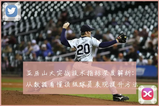 亚历山大实战技术指标深度解析：从数据看懂顶级球员表现提升方法