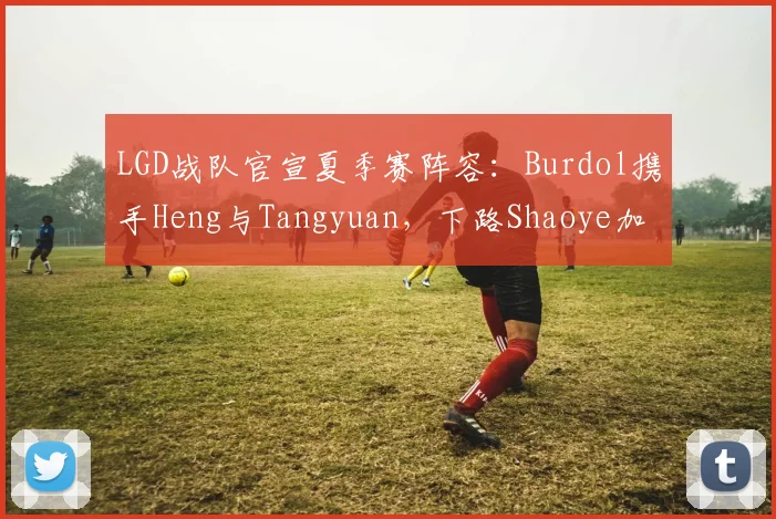 LGD战队官宣夏季赛阵容：Burdol携手Heng与Tangyuan，下路Shaoye加Ycx